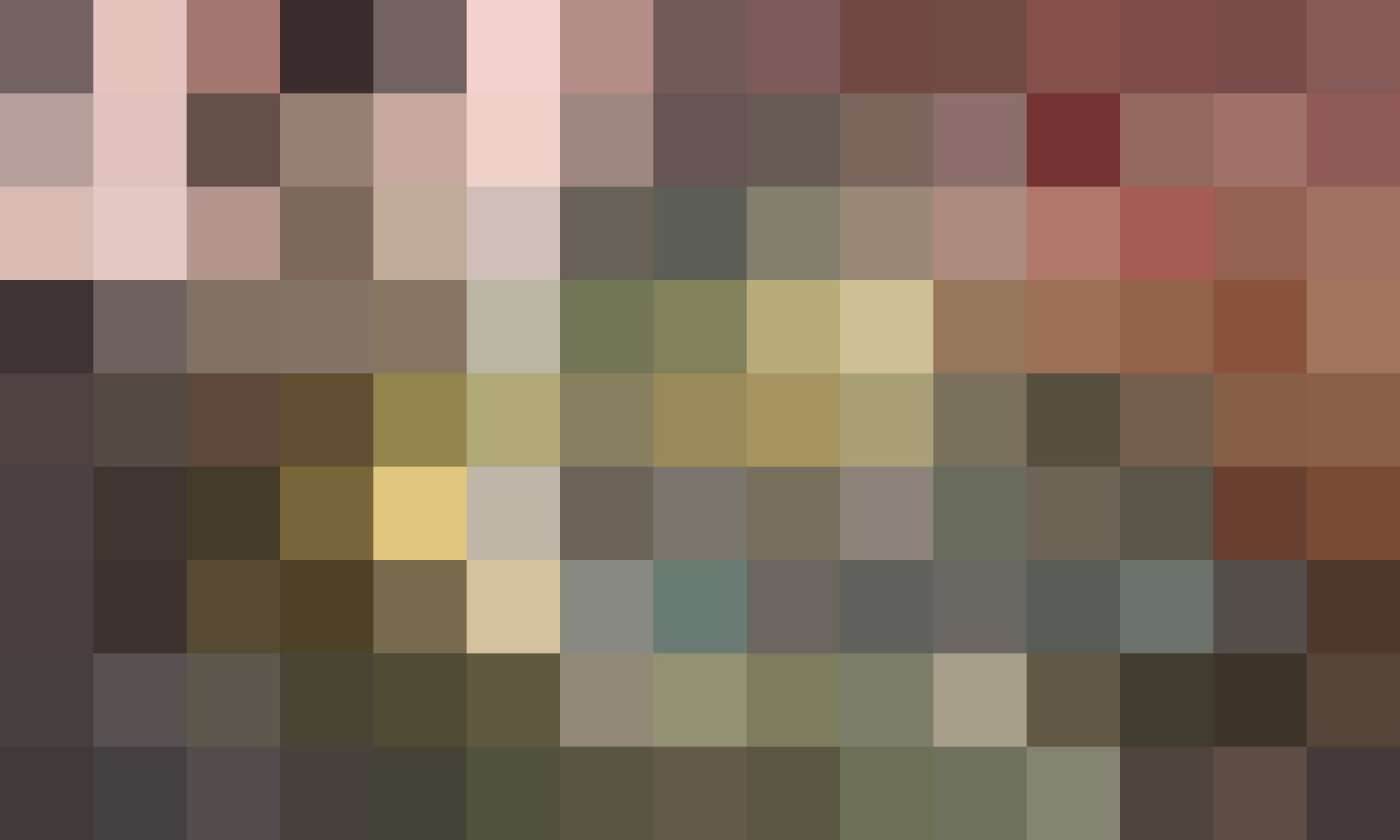 私たちの精密学校