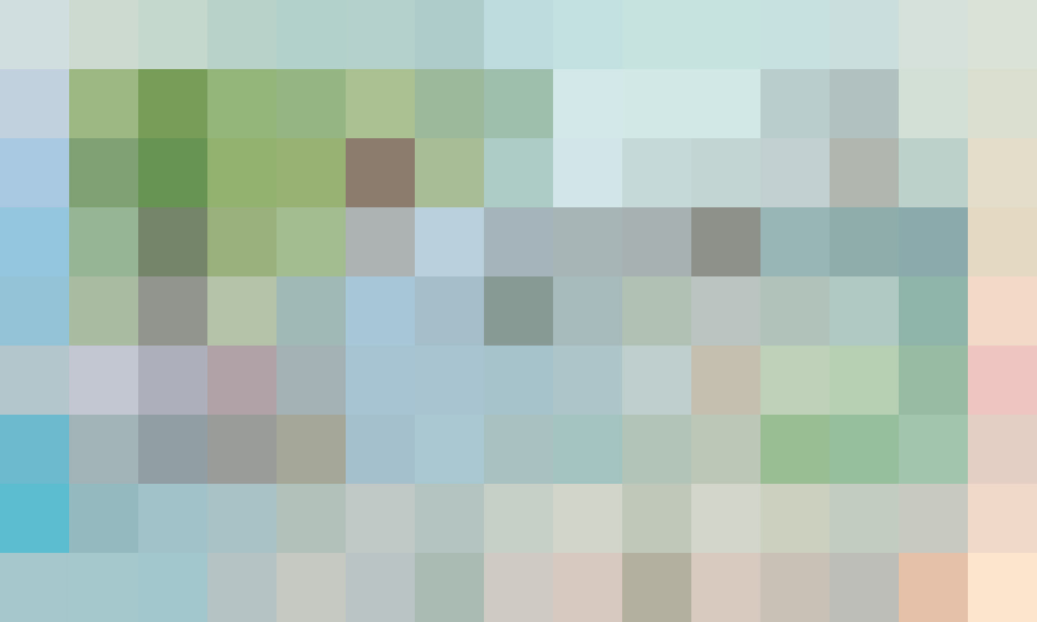 マイダイアリー